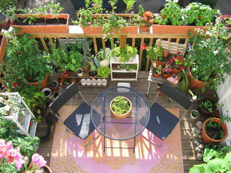 Don’t be afraid to add tons of potted plants. Source: Balcony Garden Web